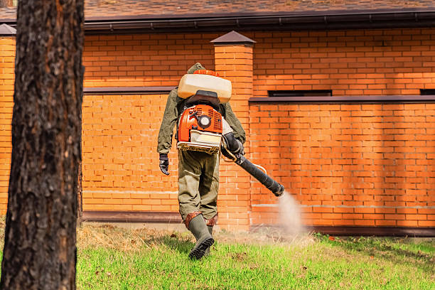 Trusted Termite Control service in New Cumberland, PA - Nex Pest Control